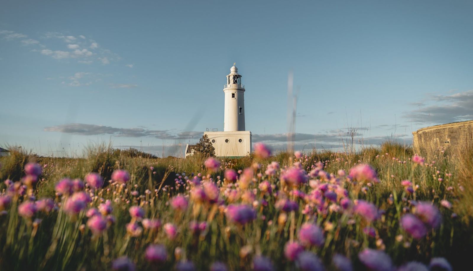 Hurst Spit Lighthouse surrounded by Sea Pinks